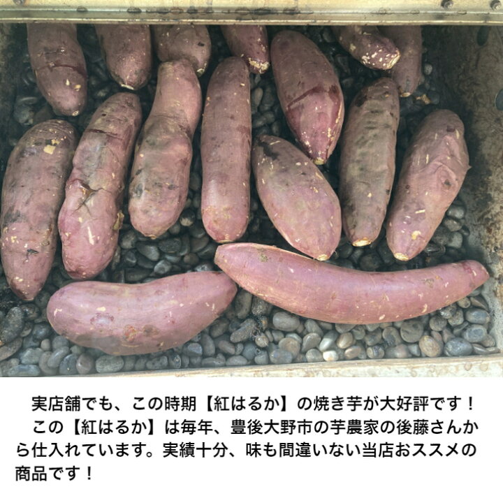 楽天市場】蜜芋 ♪ 紅はるか （ べにはるか ） 2.5kg 【送料無料  