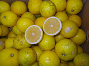 y啪Yzƒpiʏ`pj햳ڂ10Ly 킯 E  zyz