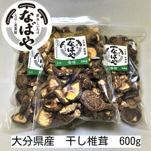 ő yߘa7NVIM 600g 啪Y YҒ ؒő e  ő  Ɩp  䂤pbN