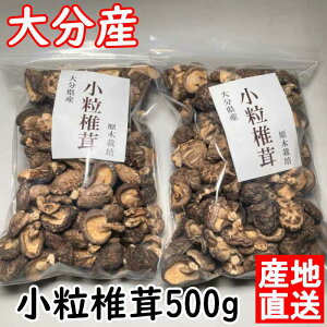�����ő� �Ȃ΂�� �����ő� 500g �啪���Y ������������ �ő� �������� ���Y�Ғ��� ���ؒő� �Ɩ��p