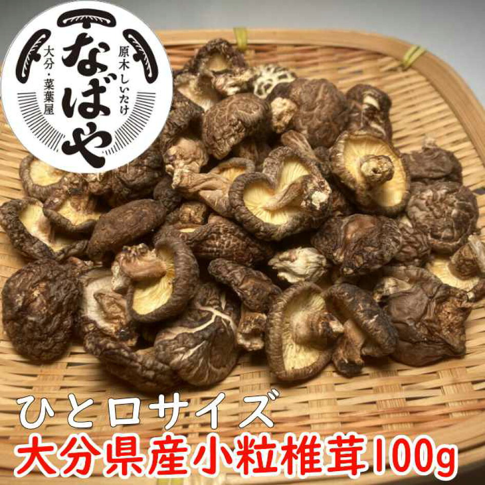 楽天市場 大分県産の原木椎茸を生産 直売するお店です 産地直送菜葉屋楽天市場店 トップページ