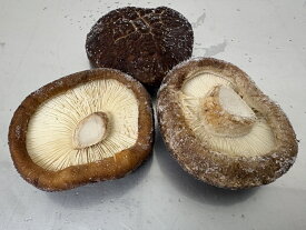 冷凍椎茸 【500g】 大分県産の原木椎茸を急速冷凍加工しました