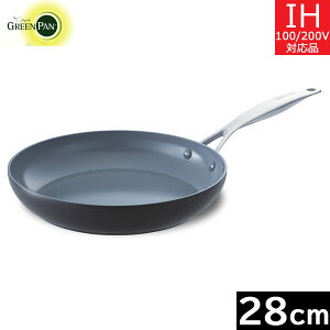 �O���[���p���@���F�j�X �v���iVenice Pro�j �t���C�p�� 28cm�@CC000653-001 �y���������z