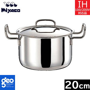 y{z {萻쏊@WIEv_Ng@|gt 20cmi4.0Lj GEO-20PF