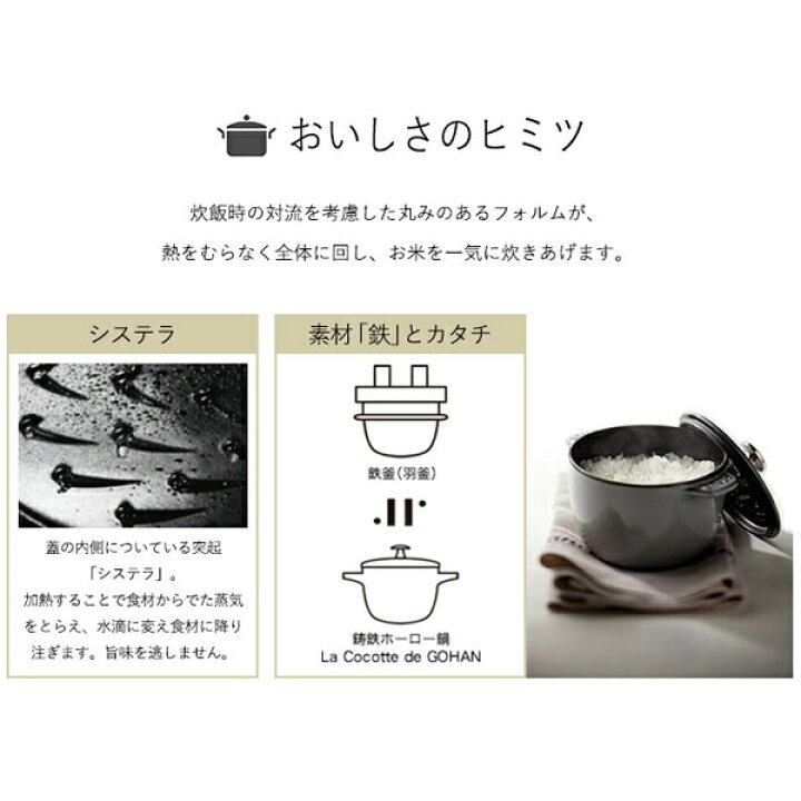 STAUB La Cocotte de Gohan S 12cm Cast Iron 1 cup Rice Cooker Black  40509-653 JP