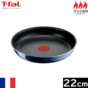 yizeBt@[iT-falj CWjIElI@Cu[ECeX@tCp 22cm@L43703@mT-AIVA201^E-2776513n