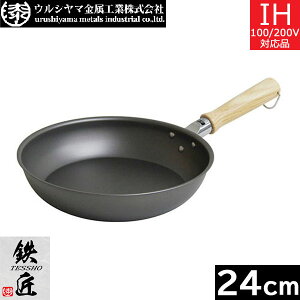 y{z EV}@SiTESSHOj tCp 24cm@TSO-F24