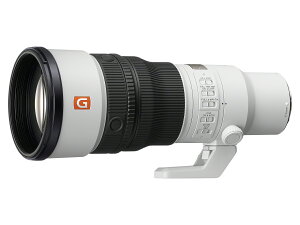 �y2026�N10��09�������zSONY(�\�j�[) SEL600F63GM �P�œ_�����Y�iFE 600mm F6.3 GM OSS�j ��[E�}�E���g]�p�����Y