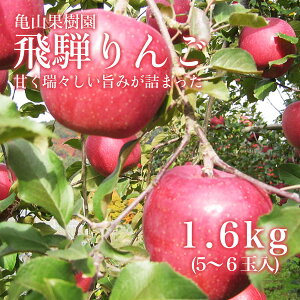 yߘa7NH ʔ̔ Ynz˂ TRʎ i킨܂̏{̈Ԃi͂܂I ˍR̋CŔň1.6kg(5`6ʓ) Ԍ 