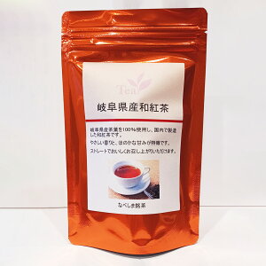 岐阜県産和紅茶 ティーバッグ 3g×10個(30g)平湯 湯けむり 温泉 岐阜県 和紅茶 飛騨 紅茶 プレゼント 贈り物 お中元 お歳暮 贈答 お土産 和紅茶 日本 国産 飛騨高山 紅茶