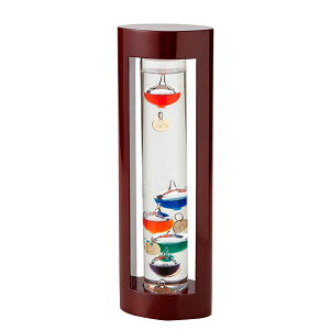 JY Fun Science t@TCGX KXt[gxvL 333-202