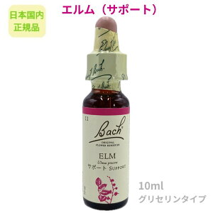 ob`t[fBwGiT|[gjx10ml t[GbZX y{KizOZx[X AR[sgp sgp