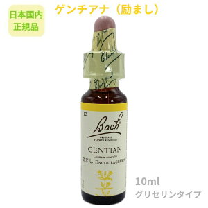 ob`t[fBwQ`Aii܂jx10ml t[GbZX y{KizOZx[X AR[sgp sgp