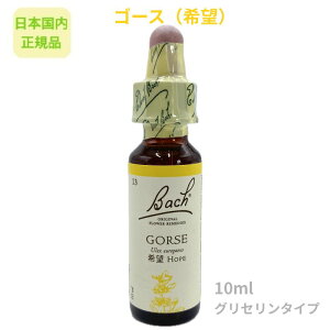 ob`t[fBwS[Xi]jx10ml t[GbZX y{KizOZx[X AR[sgp sgp