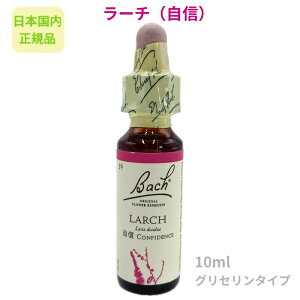 ob`t[fBw[`iMjx10ml t[GbZX y{KizOZx[X AR[sgp sgp