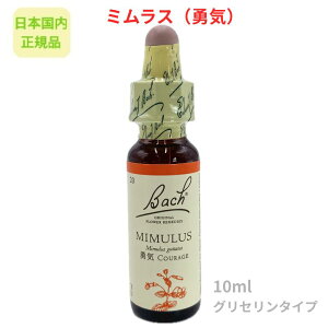 ob`t[fBw~XiECjx10ml t[GbZX y{KizOZx[X AR[sgp sgp