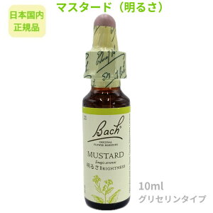 ob`t[fBw}X^[hi邳jx10ml t[GbZX y{KizOZx[X AR[sgp sgp