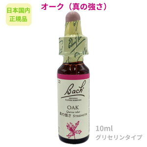 ob`t[fBwI[Ni^̋jx10ml t[GbZX y{KizOZx[X AR[sgp sgp