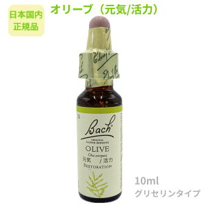 ob`t[fBwI[uiC^́jx10ml t[GbZX y{KizOZx[X AR[sgp sgp