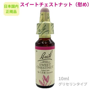 ob`t[fBwXC[g`FXgibgiȂ߁jx10ml t[GbZX y{KizOZx[X AR[sgp sgp