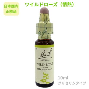 ob`t[fBwCh[YiMjx10ml t[GbZX y{KizOZx[X AR[sgp sgp