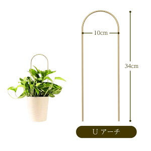 vgT|[g Ax ϗtA cA x ACA S[h  k p A CeA O[G _ |pi X^CbV 킢  x [t