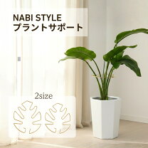 楽天市場】モンステラ 支柱（観葉植物｜花・観葉植物）：花・ガーデン 
