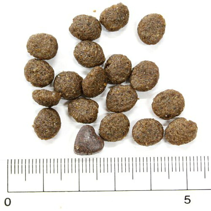 犬用 リナール アクティブ 小粒2kg 腎臓ケア成犬シニア犬 ドッグフードFORZA10正規品fo01897 ドッグフード | dppkbp3a.bengkuluselatankab.go.id