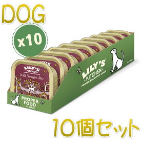 最短賞味2025.8・リリーズキッチン 犬 野生のキャンプファイヤーシチュー 150g×10個 lid016cs（個別日本語ラベルなし）