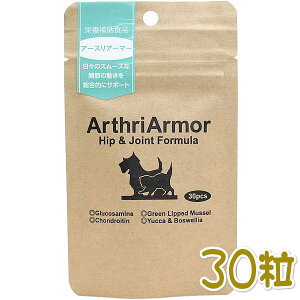 ŒZܖ2027.2ElC`[xbg A[XA[}[ gCA30 LpTvg֐߃PAnv66355