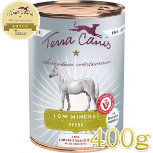 ŒZܖ2028.1EeJjX  [~l n 400gtc24514AxbgAHENPAp/Rv[gHEFbgKi