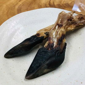 NEW 最短賞味2027.10・Nanki Japan デンタルチュー鹿ひづめ2本入り/nj60258犬用おやつ ナンキジャパン