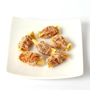 ŒZܖ2026.10EACt@Ng[  TT~Tc}C 45g p Y Yai00269