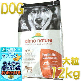 おまけ付き！最短賞味2025.3.31・アルモネイチャー 犬 ラム 大粒 12kg ald761成犬用ホリスティック ドッグフードalmo nature正規品