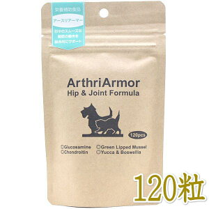 ŒZܖ2027.2ElC`[xbg A[XA[}[ NtgpbP[W120 LpTvg֐߃PAnv66393