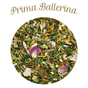 ŒZܖ2027.2EeJjX n[oq[[Y v}o[i 0.4g×30 Ɗ֐߂̌NێTerraCanisKitc71387