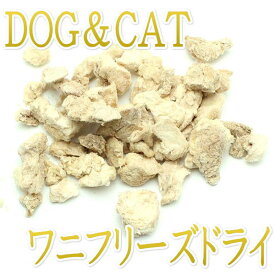 NEW 最短賞味2025.2・INUMESHI SEBEK（セベク）トリーツ クロコダイル フリーズドライ 20g犬猫用おやつフリーズドライse30535正規品