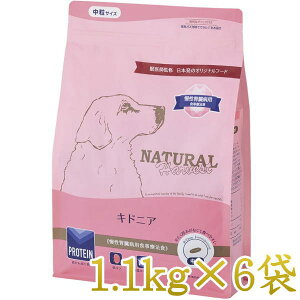 ŒZܖ2027.4Ei`n[xXg LhjA 1.1kg×6܃Zbg/pP[XoׂɂȂ܂nh12374s6