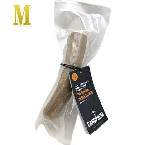 CANOPHERA LmtB f^ `[XeBbN 1{ TCY M Ki ca51120R[q[̖