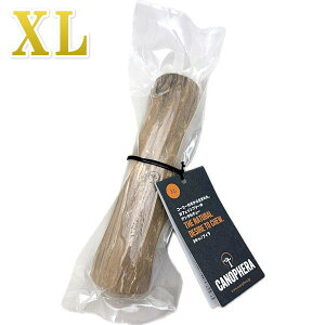 CANOPHERA LmtB f^ `[XeBbN 1{ TCY XL Ki ca51144R[q[̖