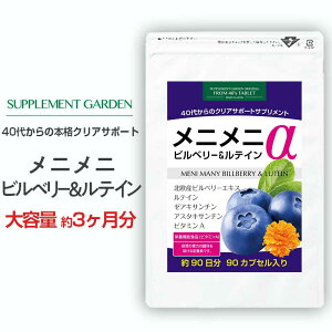 �T�v�������g�K�[�f�� ���j���j�r���x���[�����e�C���� ��e�� ��3������/90�� �k���Y�r���x���[ 100�{�Z�k�z�� ���e�C�� �[�A�L�T���`�� �A�X�^�L�T���`�� �r�^�~��A �ɐ��J�v�Z��