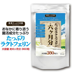 NՂ{ Ղ胉NgtF e 6/360 NgtF 4500 EC12 _ r[y zGCveC Tv