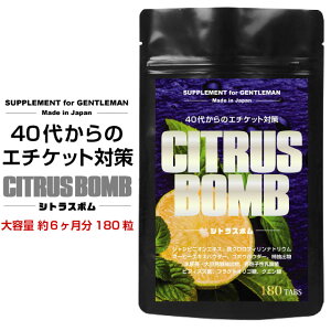SUPPLEMENT for GENTLEMAN40ォ̃G`Pbg΍ VgX{ eʖ6/180 ZxVsjIGLX fIA^bN _ SNtB L L  L }XN G`Pbg