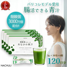 【腸活ダイエット☆LINE登録で400円OFF！】 腸活 青汁 120日分 酪酸菌が入ったおなかの青汁 4箱 無添加 粉末青汁 国産 モリンガ モリンガパウダー 青汁パウダー 酪酸菌 ダイエット 美容ドリンク 善玉菌 子供 こども 野菜不足 美容 大麦若葉 健康飲料 タンサ脂肪酸 腸活美容