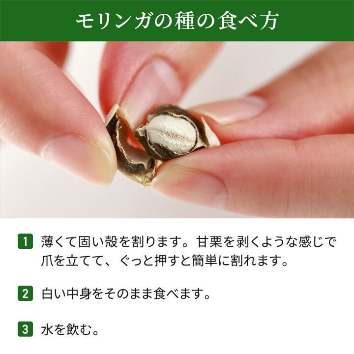 楽天市場】【高評価☆4.6】【楽天1位】【公式】 モリンガ 種 約250粒 