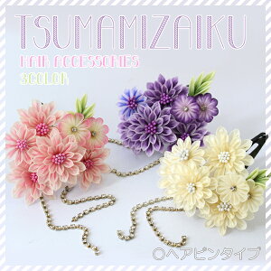  ܂ݍ׍H̔ vP[Xt U   wAANZT[ 񂴂  wAs a я nhCh l  p[eB[ Zj[ 39Vbv܂