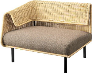 Th[ ЕI č [J[ \t@ ֎q Ƌ  CeA 1l| \t@[lC  J azumaya ƋiR V