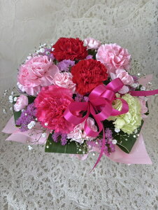 ԃAWg J[l[V&o iRIWi mother'sday  蕨 i   bh  킢 lC i  KN ΂ mother'sday  ꂳ IW