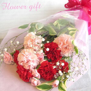 NACOLE オリジナル花束A カーネーション かすみ草 母の日ギフト カーネーション ピンク レッド カスミ草 季節のお花お誕生日プレゼント 記念日 内祝い 結婚内祝い 出産内祝い 新築祝い 引き出