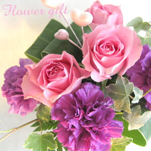 iR IWiԃAWgB J[l[V o j j oYj Vzj o Mtg Ԃ t[Mtg 39Vbv܂ N[|zz